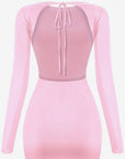 Rosy Mini Dress